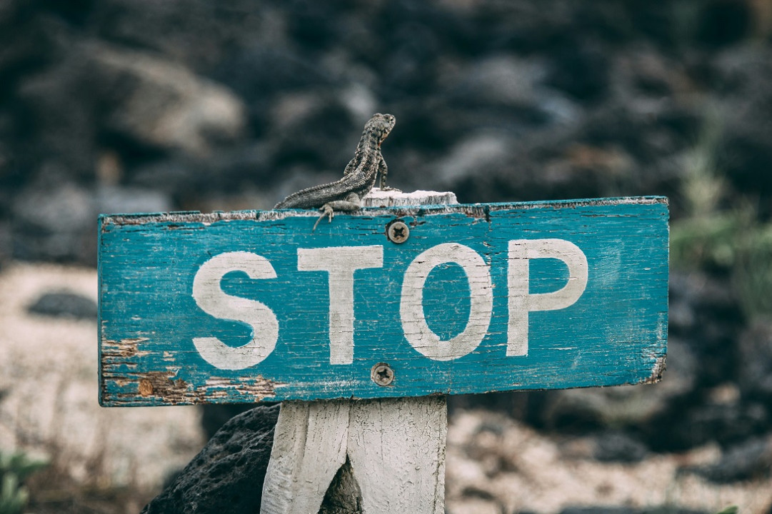 Ilustracija: Hose Aragones na Unsplash-u