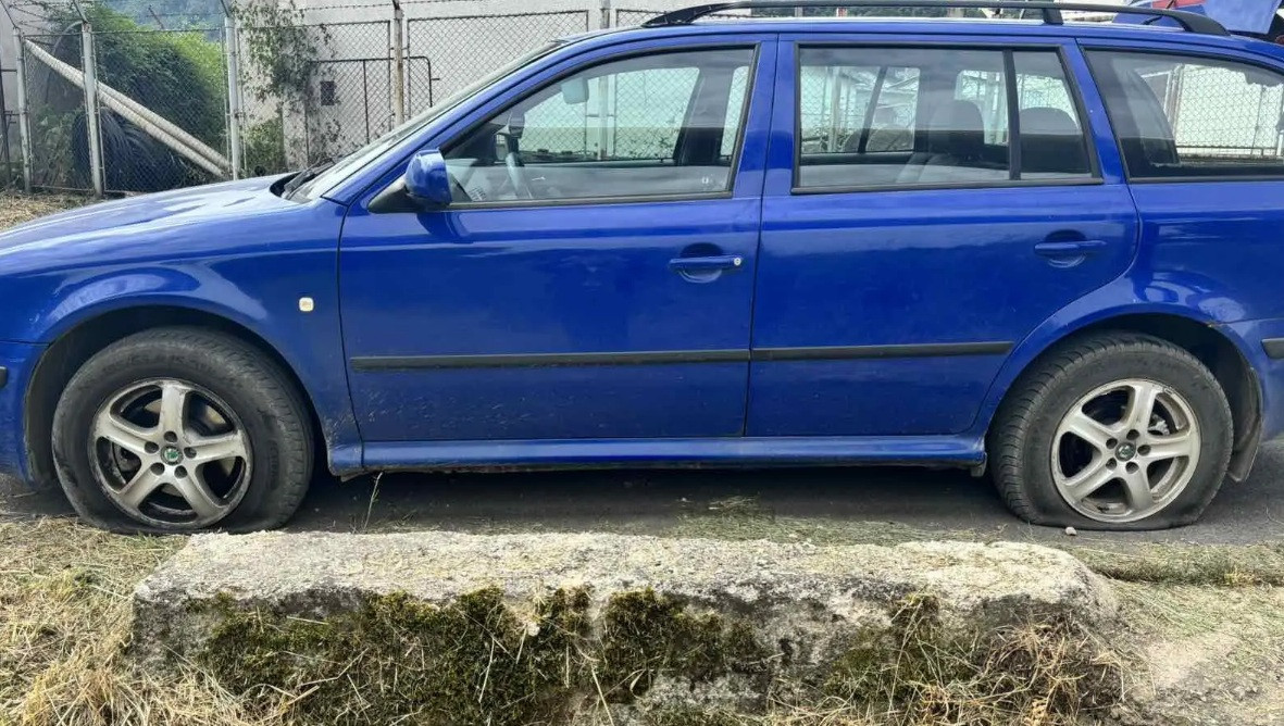 Foto: Vreme / Tijana Stanić